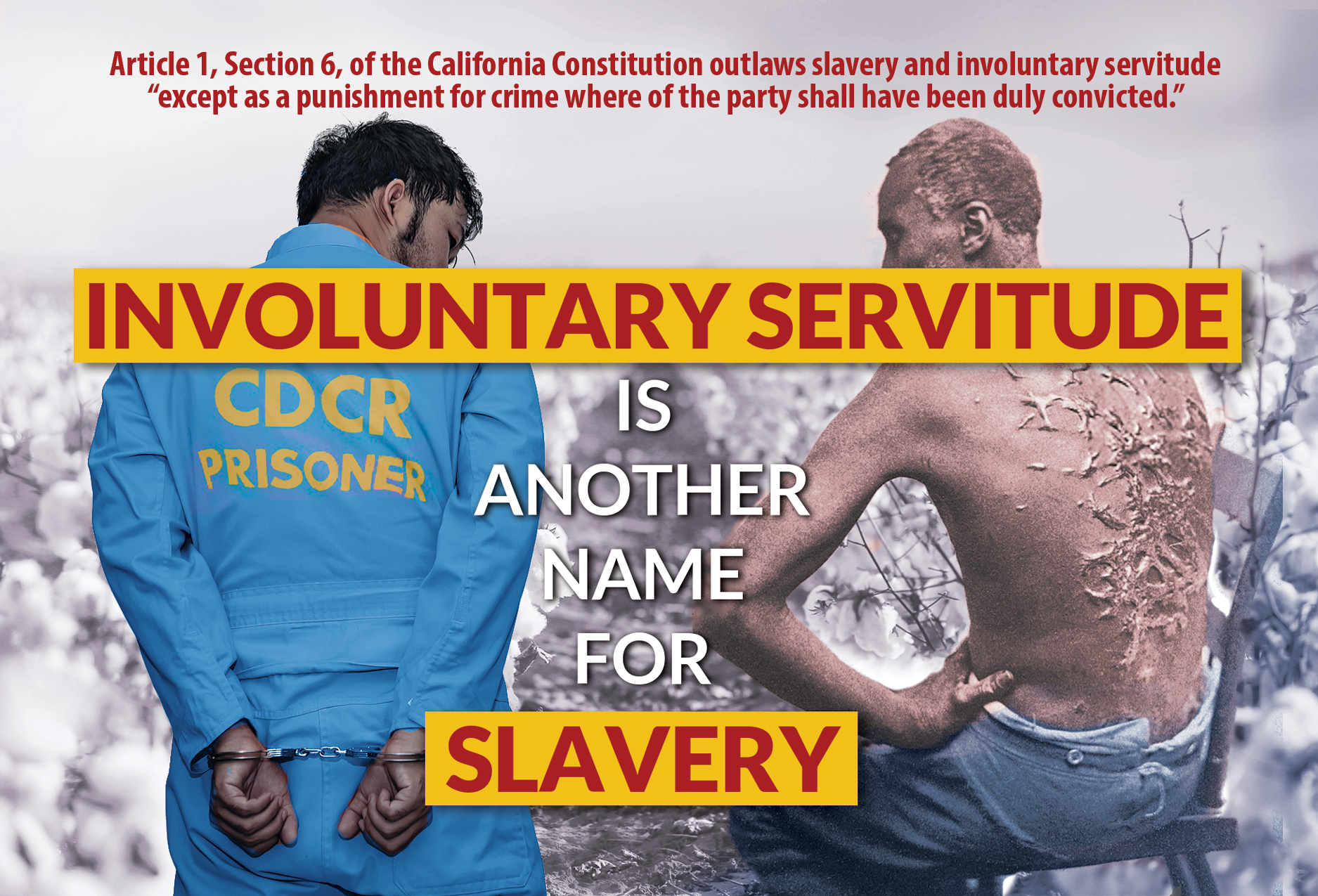 slavery postcard web